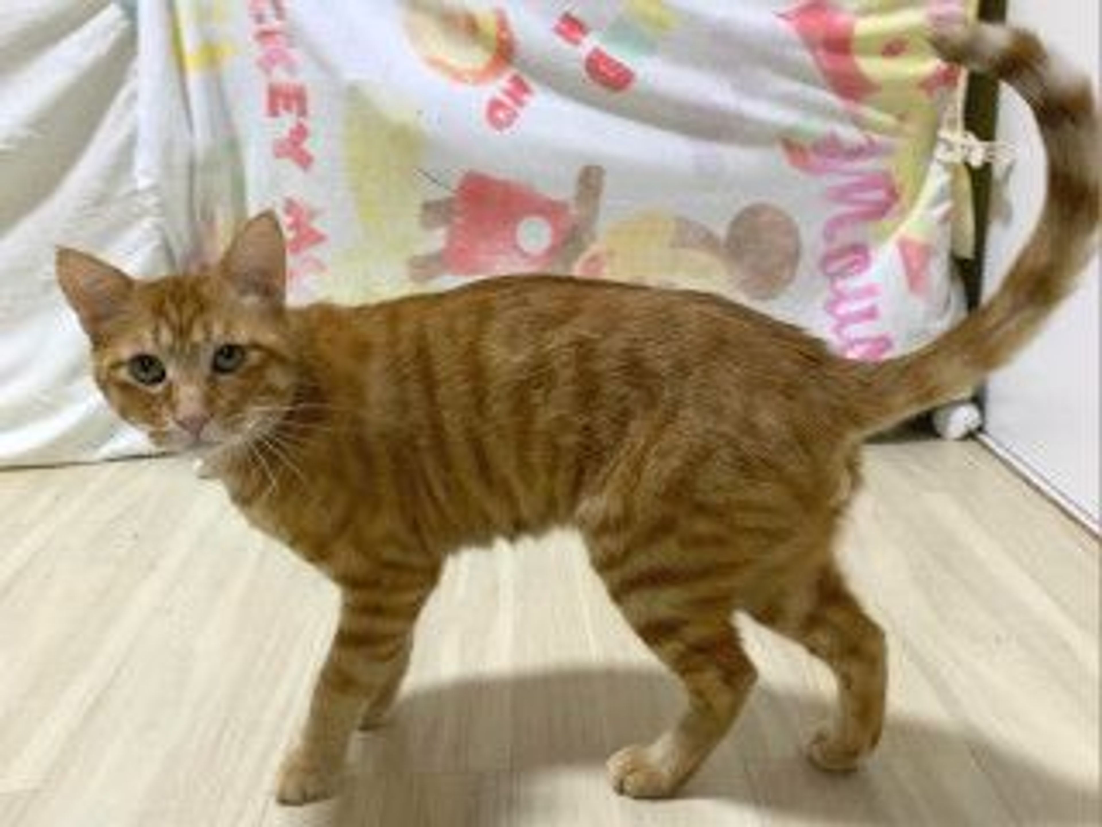 image-5