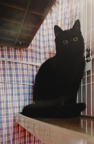 マルメの写真