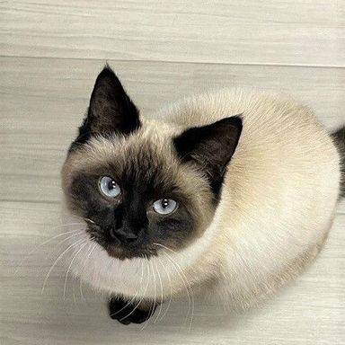 颯太くん