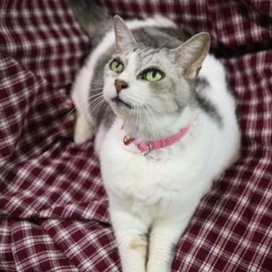 名無しちゃんの写真