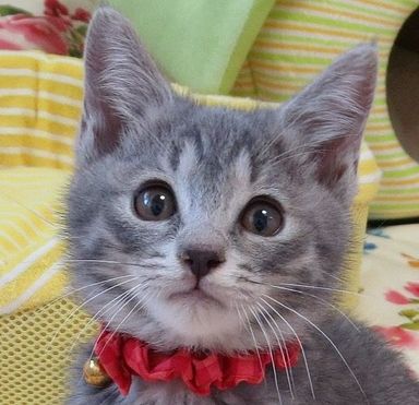 名無しちゃんの写真