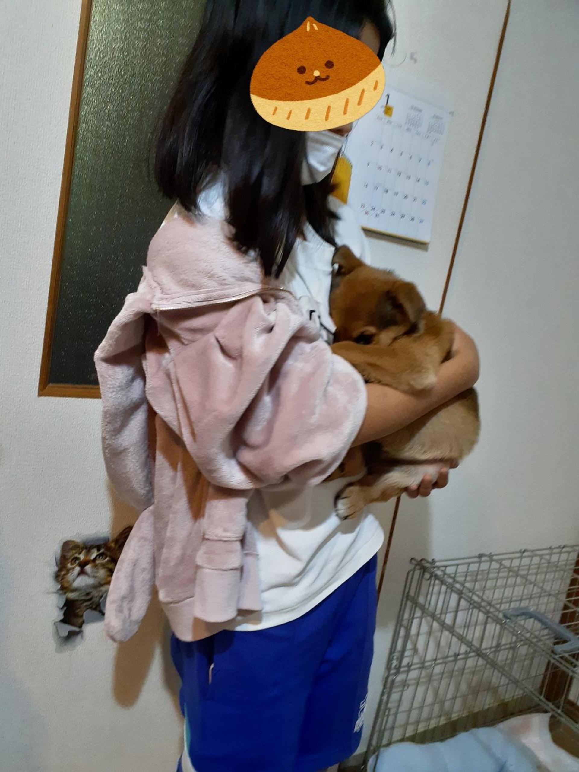 pet-image-3