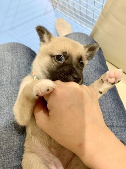 thumb-1