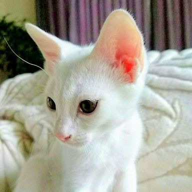 名無しちゃんの写真