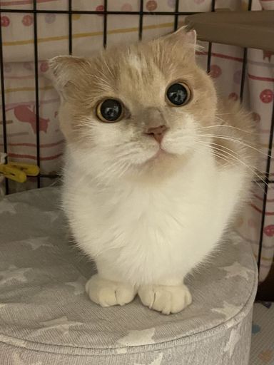みらいの写真