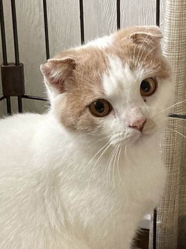 じんの写真