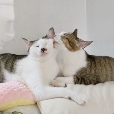 海♂&波の写真