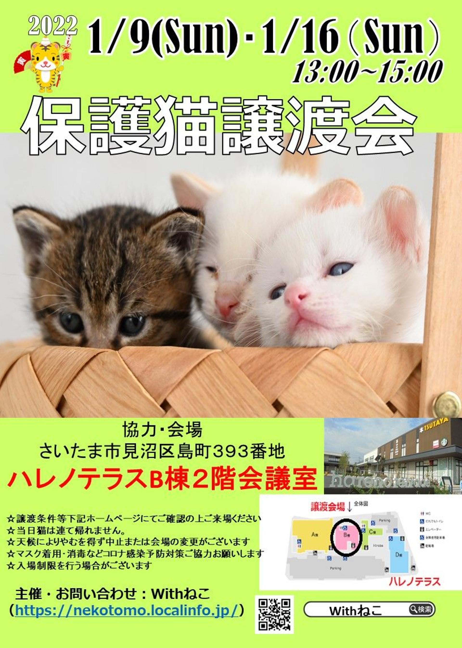 pet-image-7