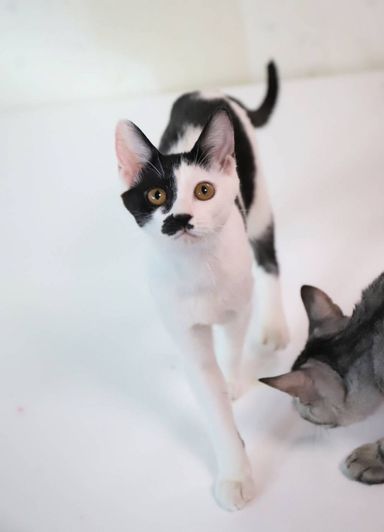 りりあの写真