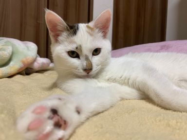 もっちーの写真