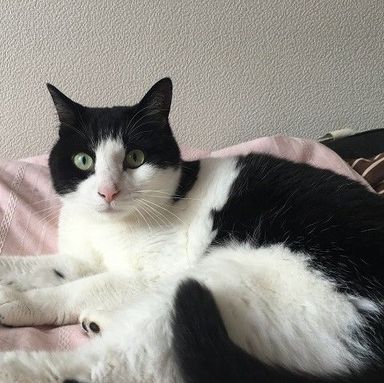 カンロの写真