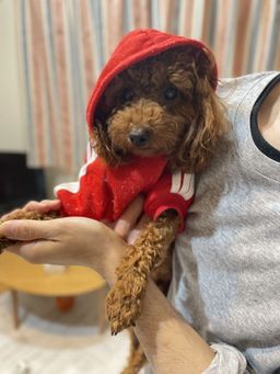 thumb-1