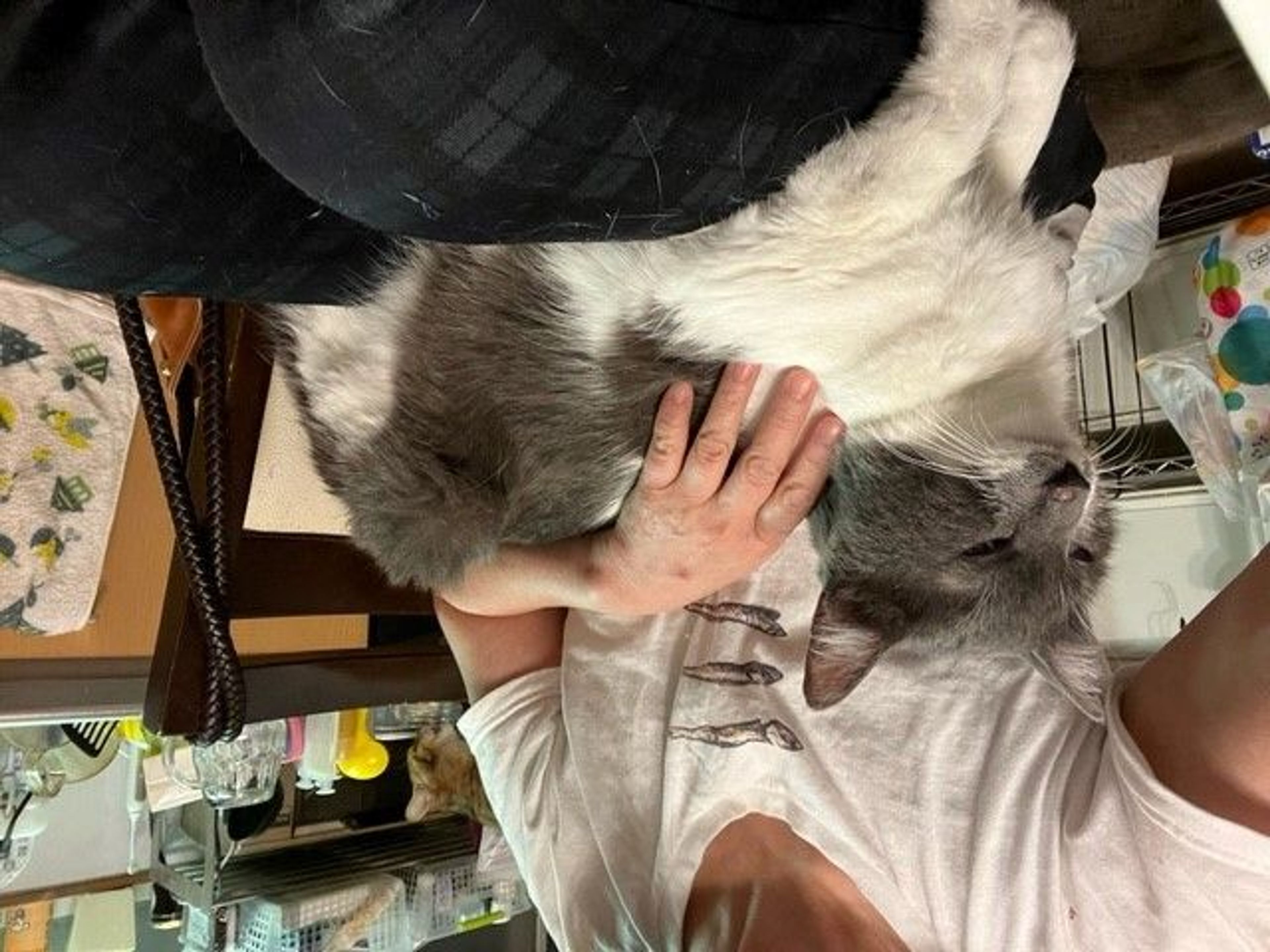 pet-image-4