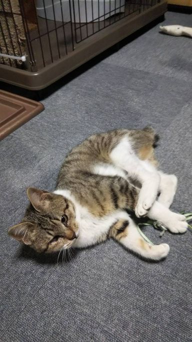 まーくんの写真