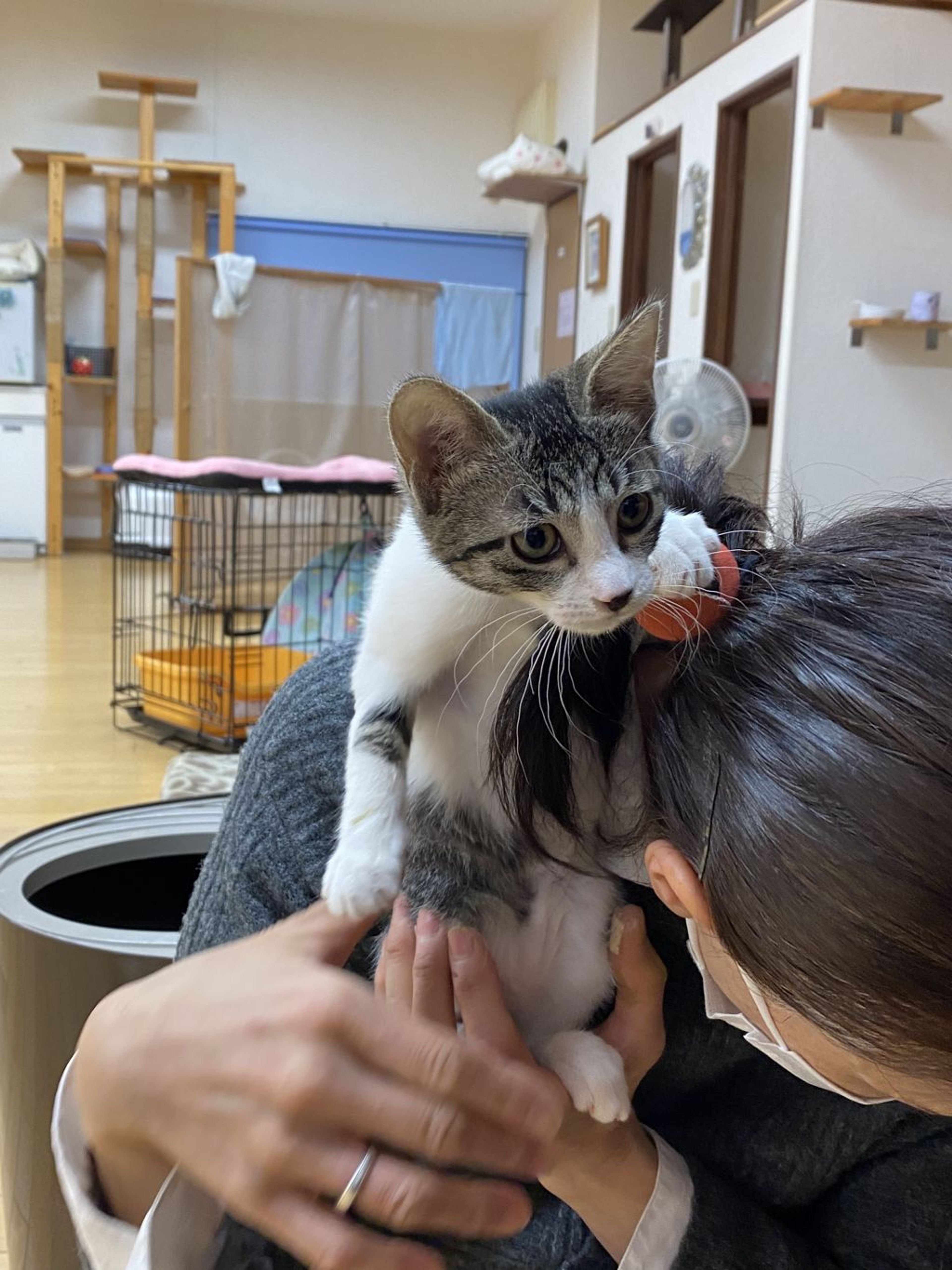 pet-image-3