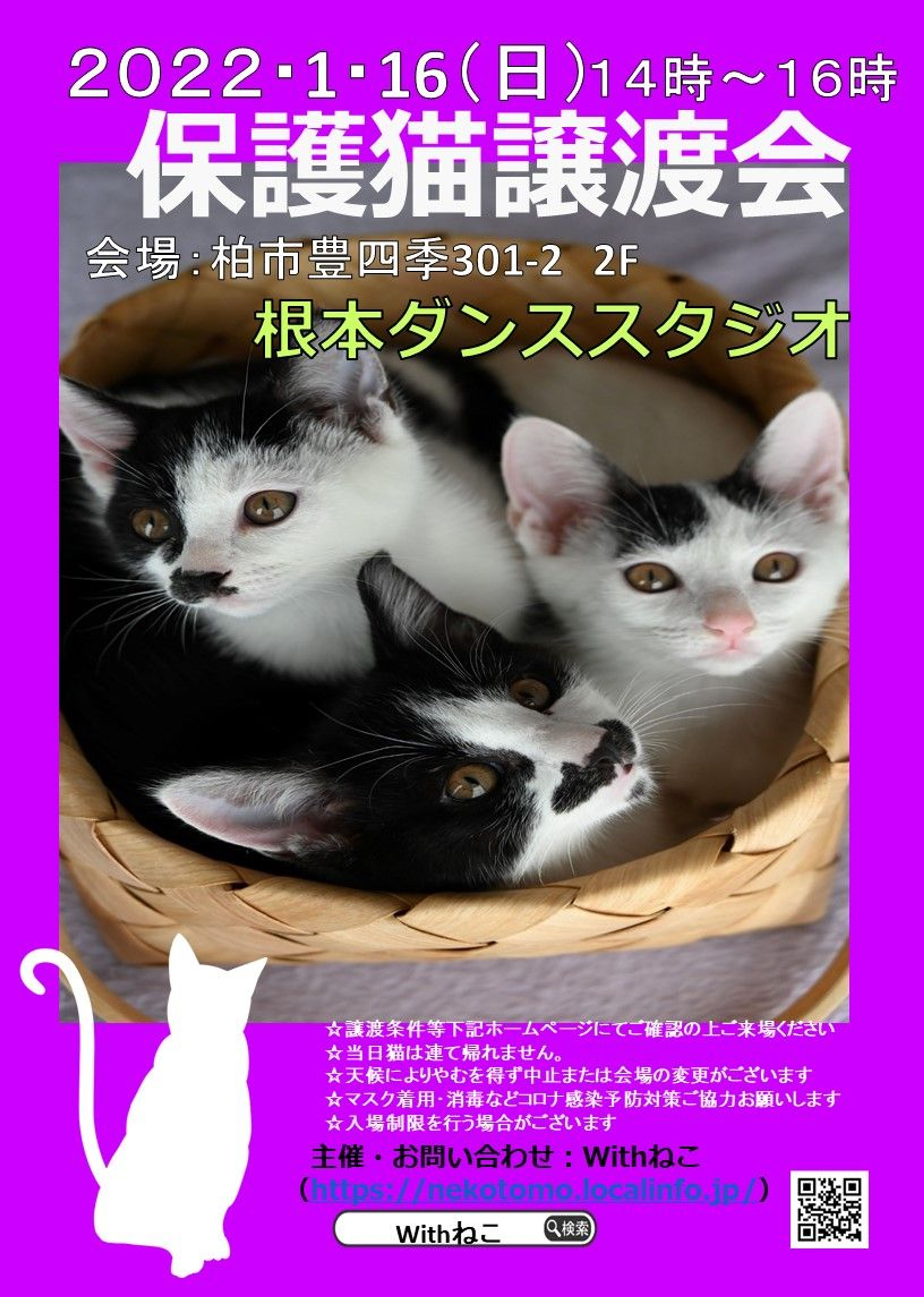 pet-image-5