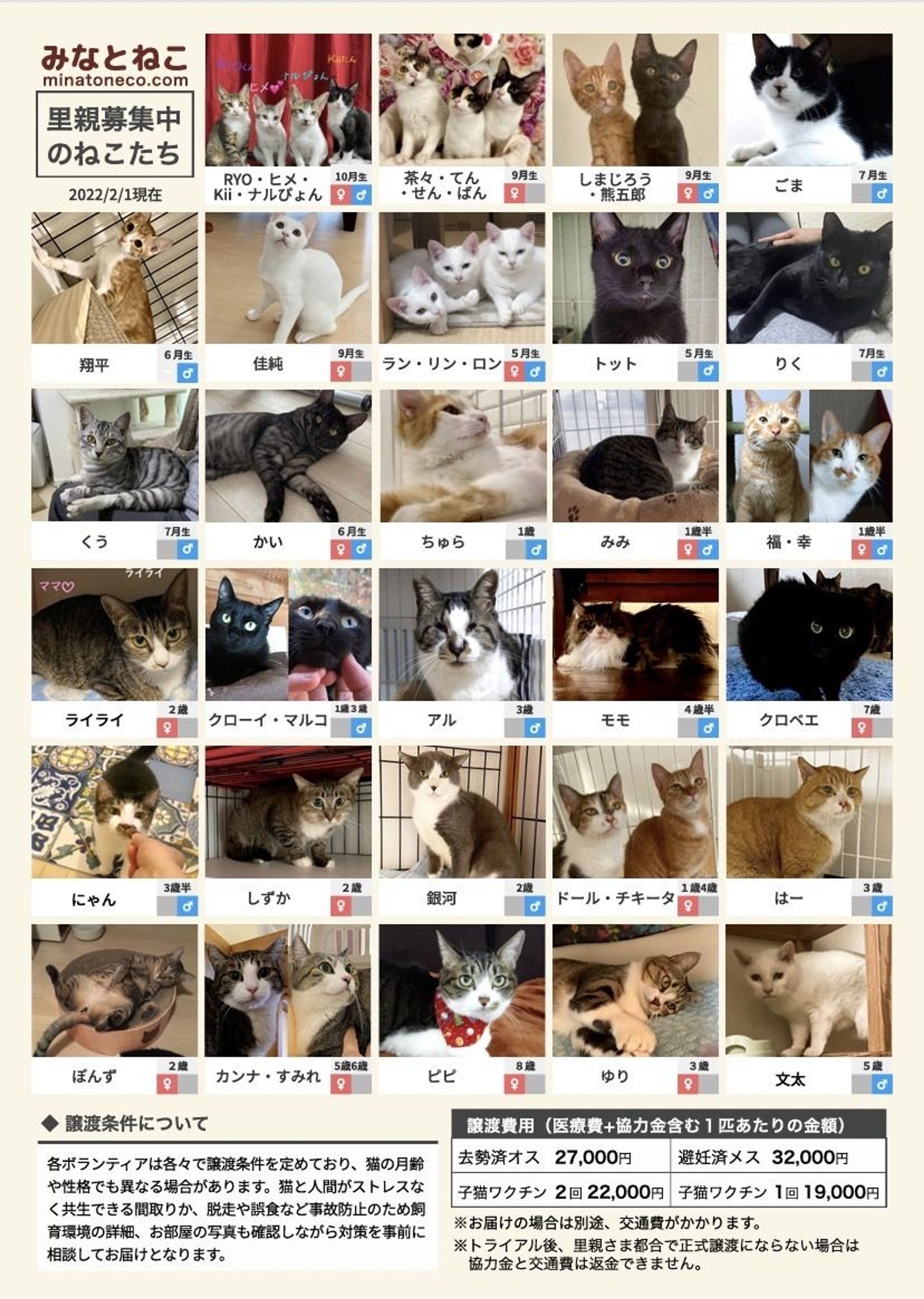 pet-image-5