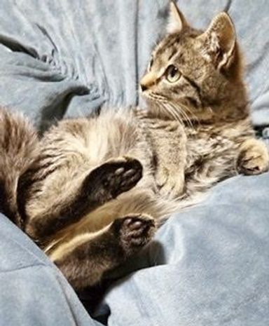 ミミカちゃんの写真
