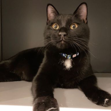 ツッキーの写真