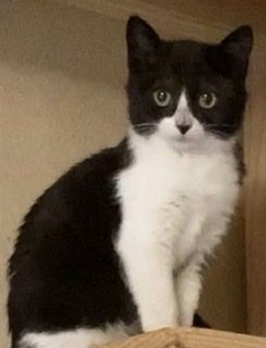 ドリーちゃんの写真