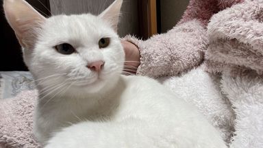 なぎさちゃんの写真