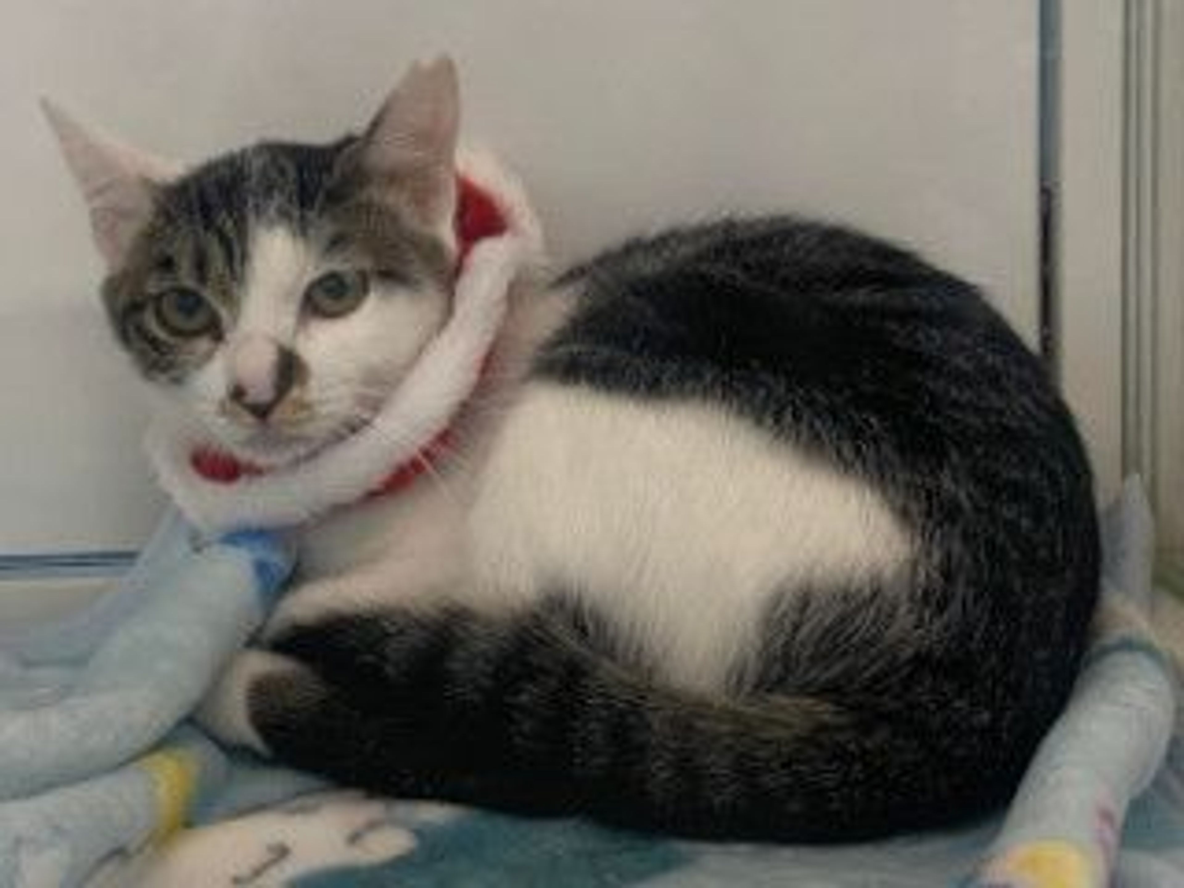 image-5
