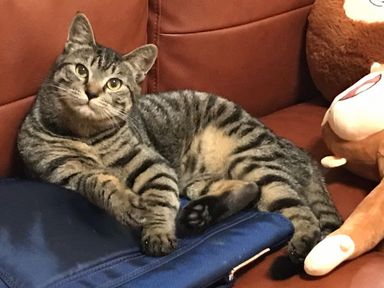 アキオの写真