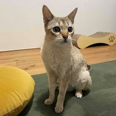 リオンの写真