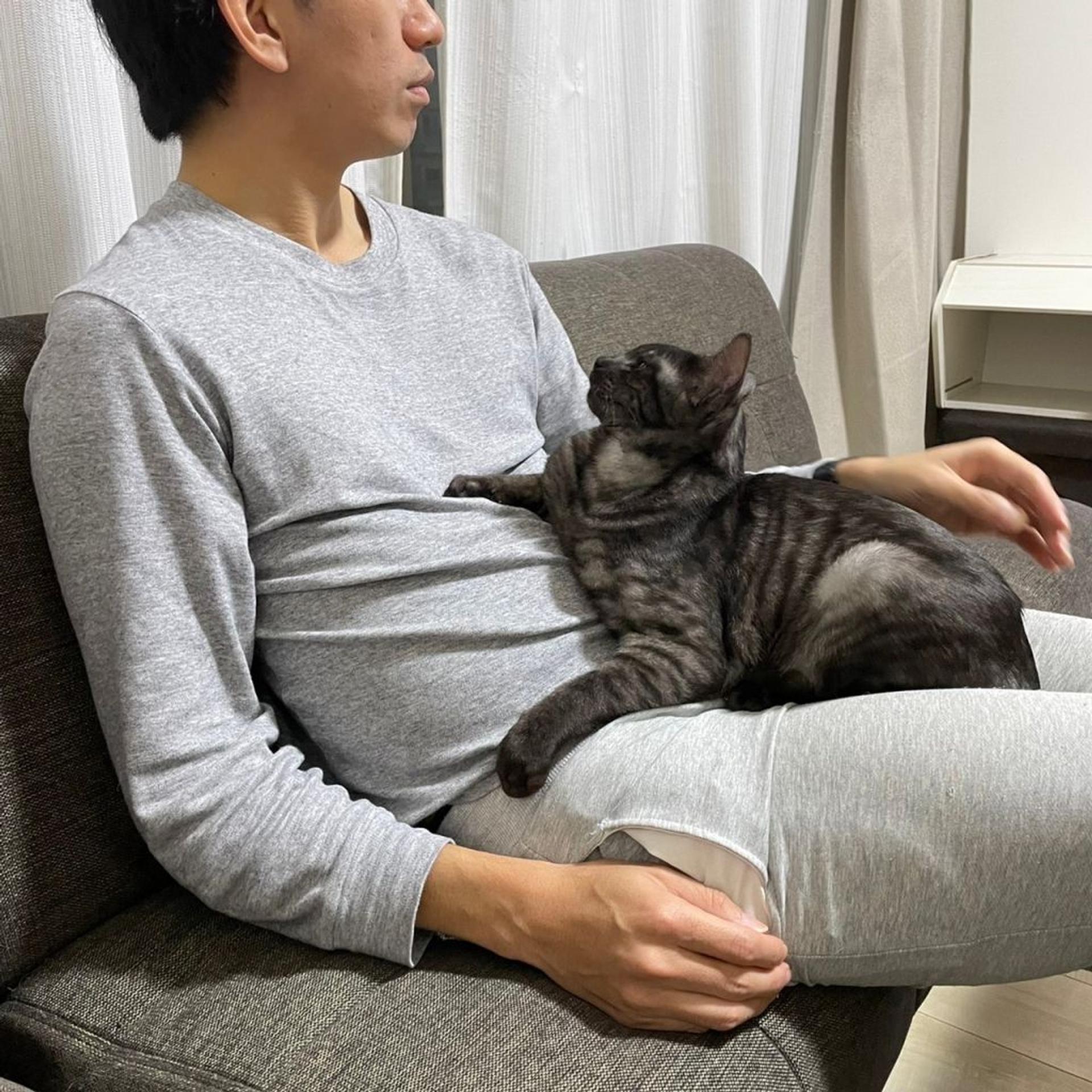 pet-image-8