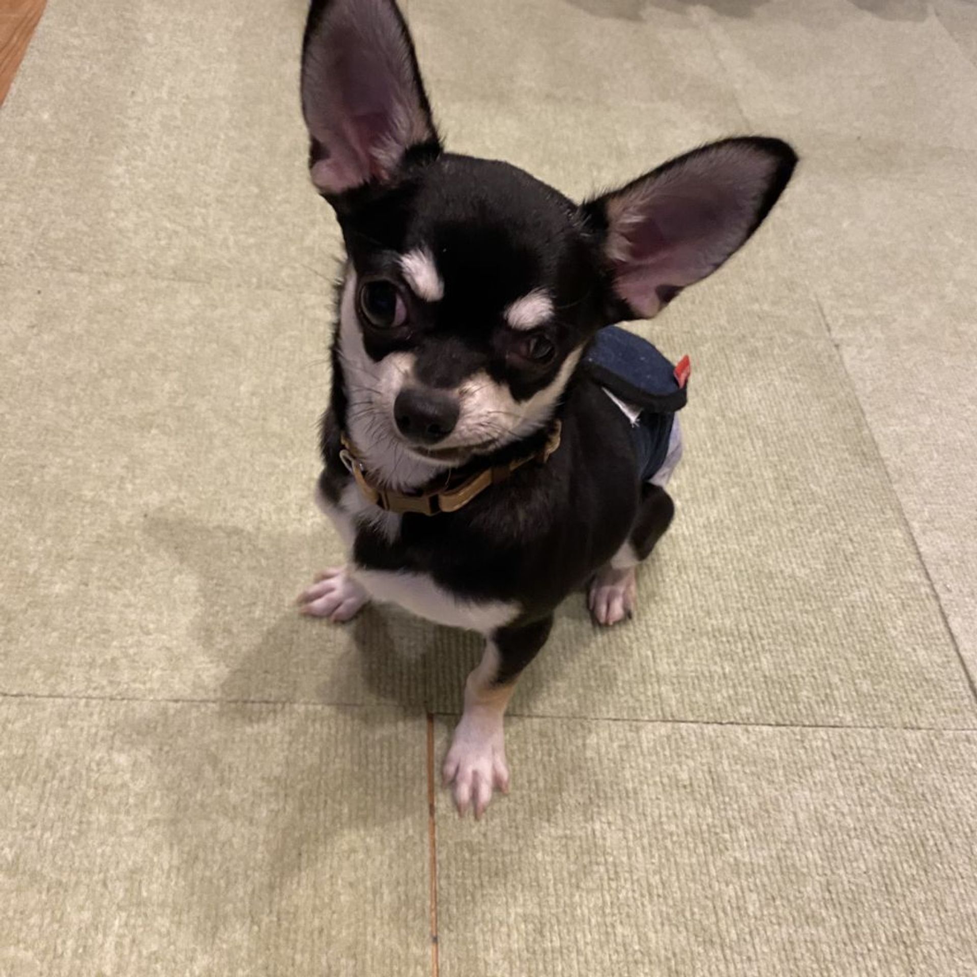 thumbnail-5