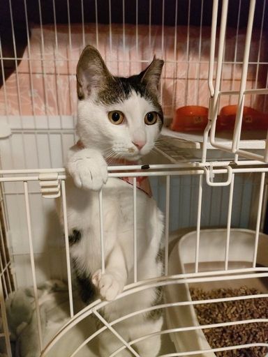 はるの写真