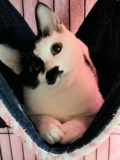 りりあの写真