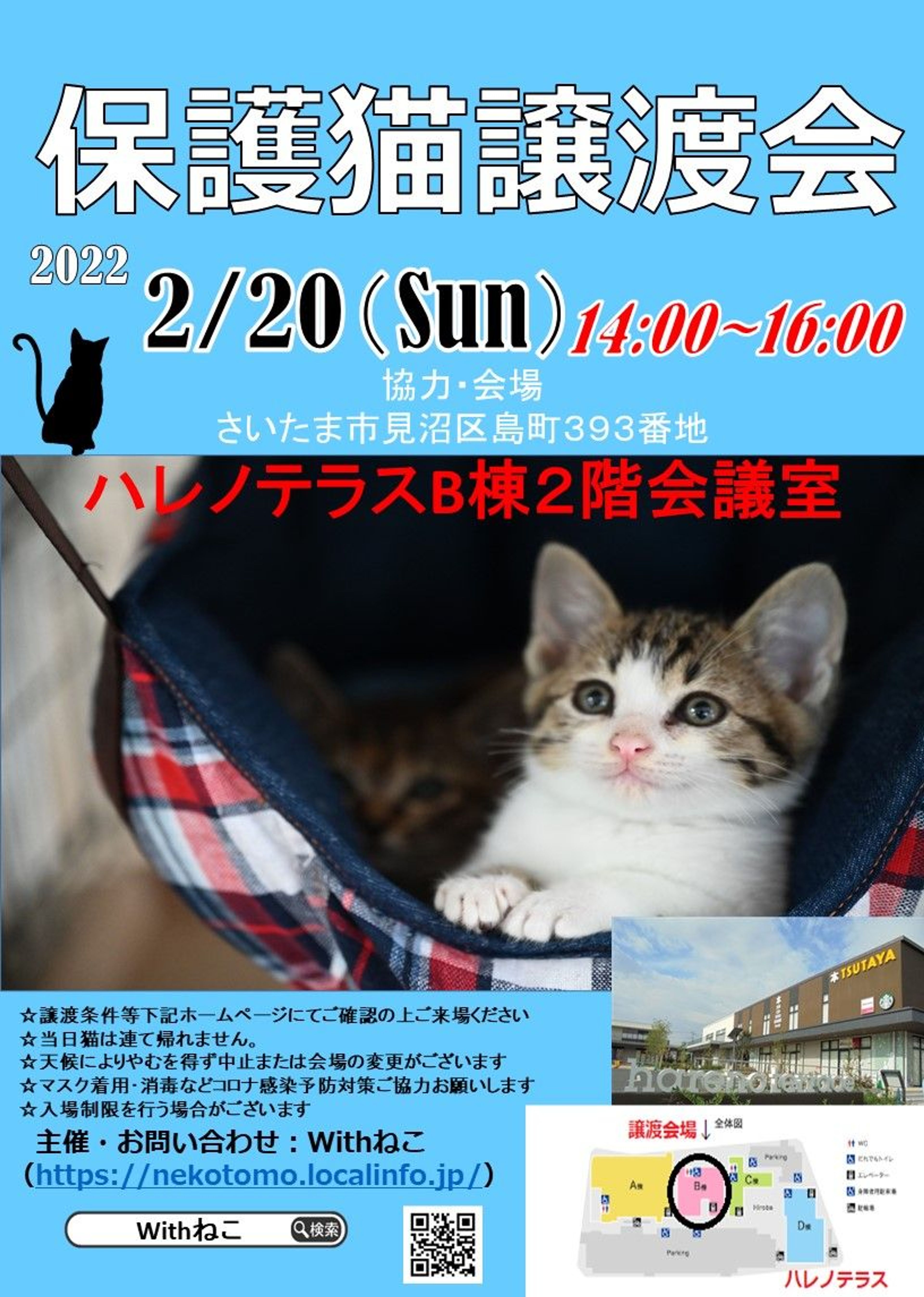 pet-image-7
