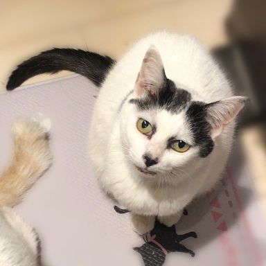 ぐまちゃん★個別お見合い申込OK の写真