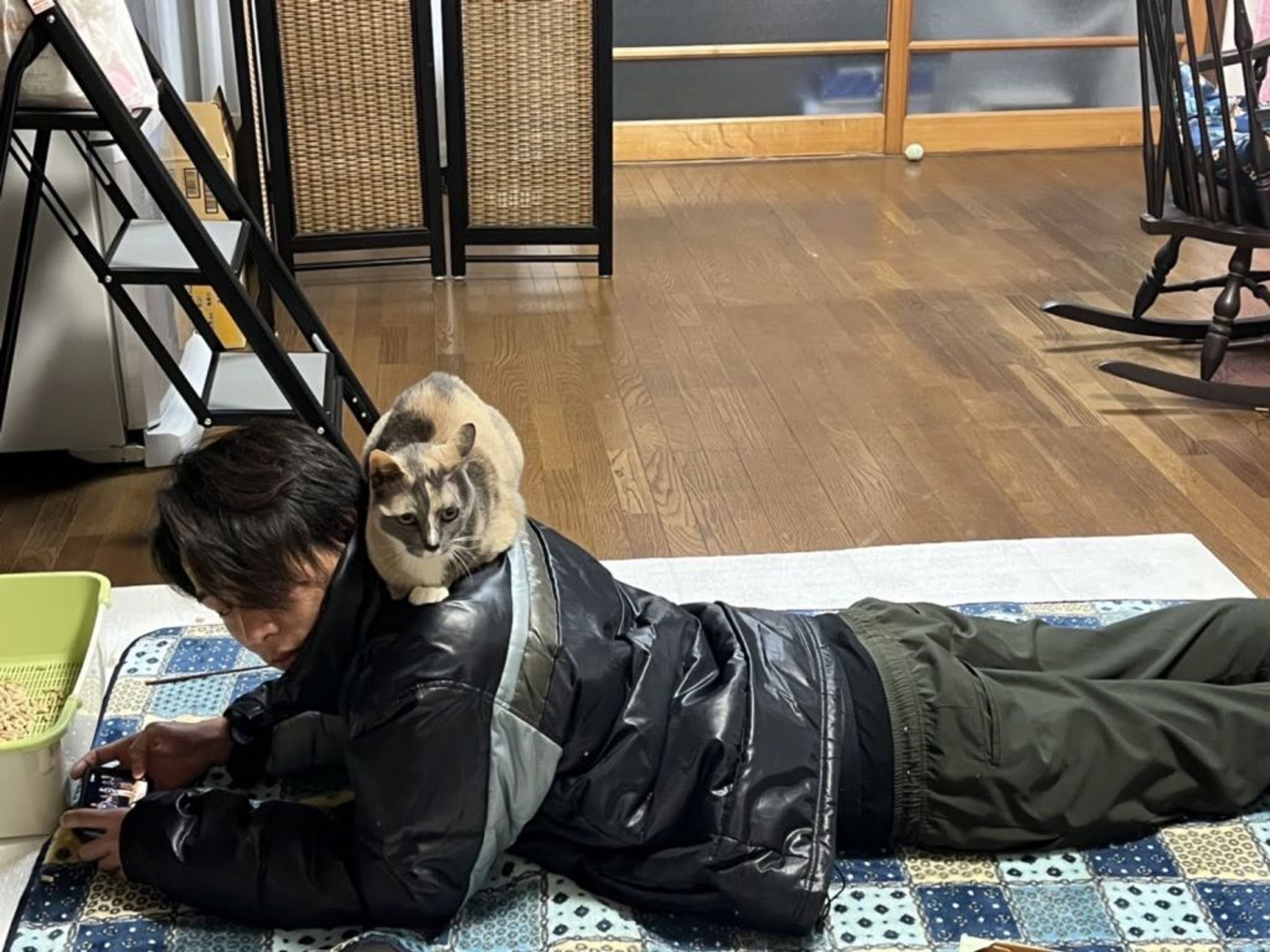pet-image-5