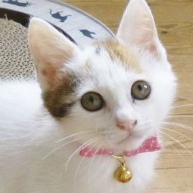 名無しちゃんの写真