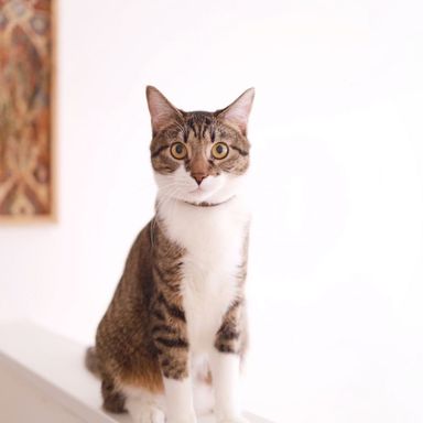 ゆのの写真