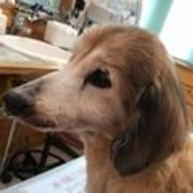 名無しちゃんの写真