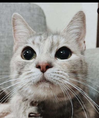 ナルの写真