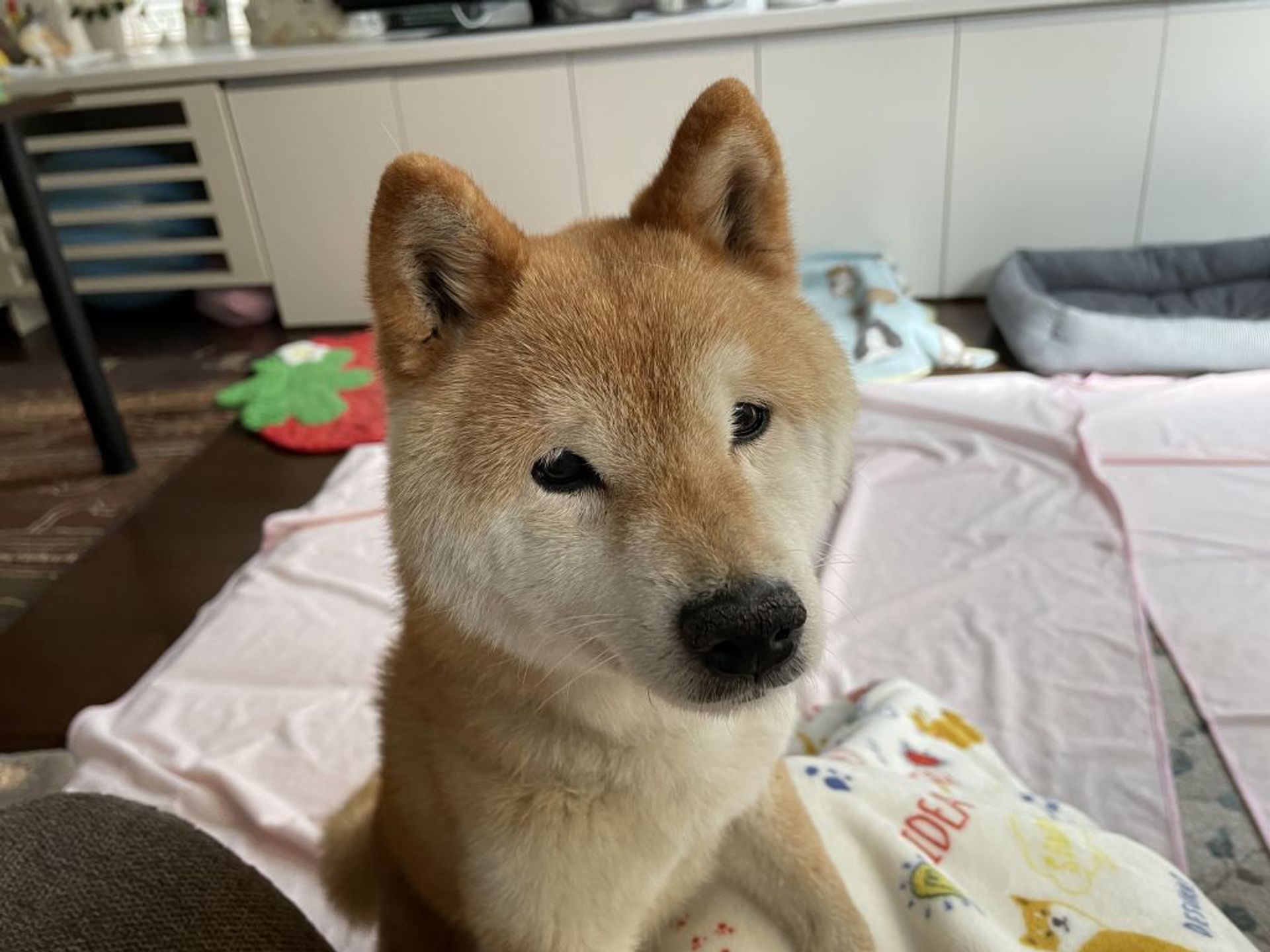 thumbnail-5