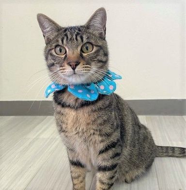 太郎くん