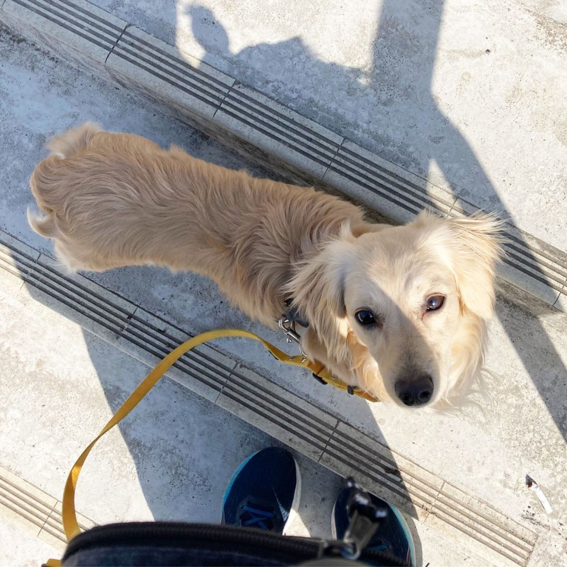 thumbnail-5