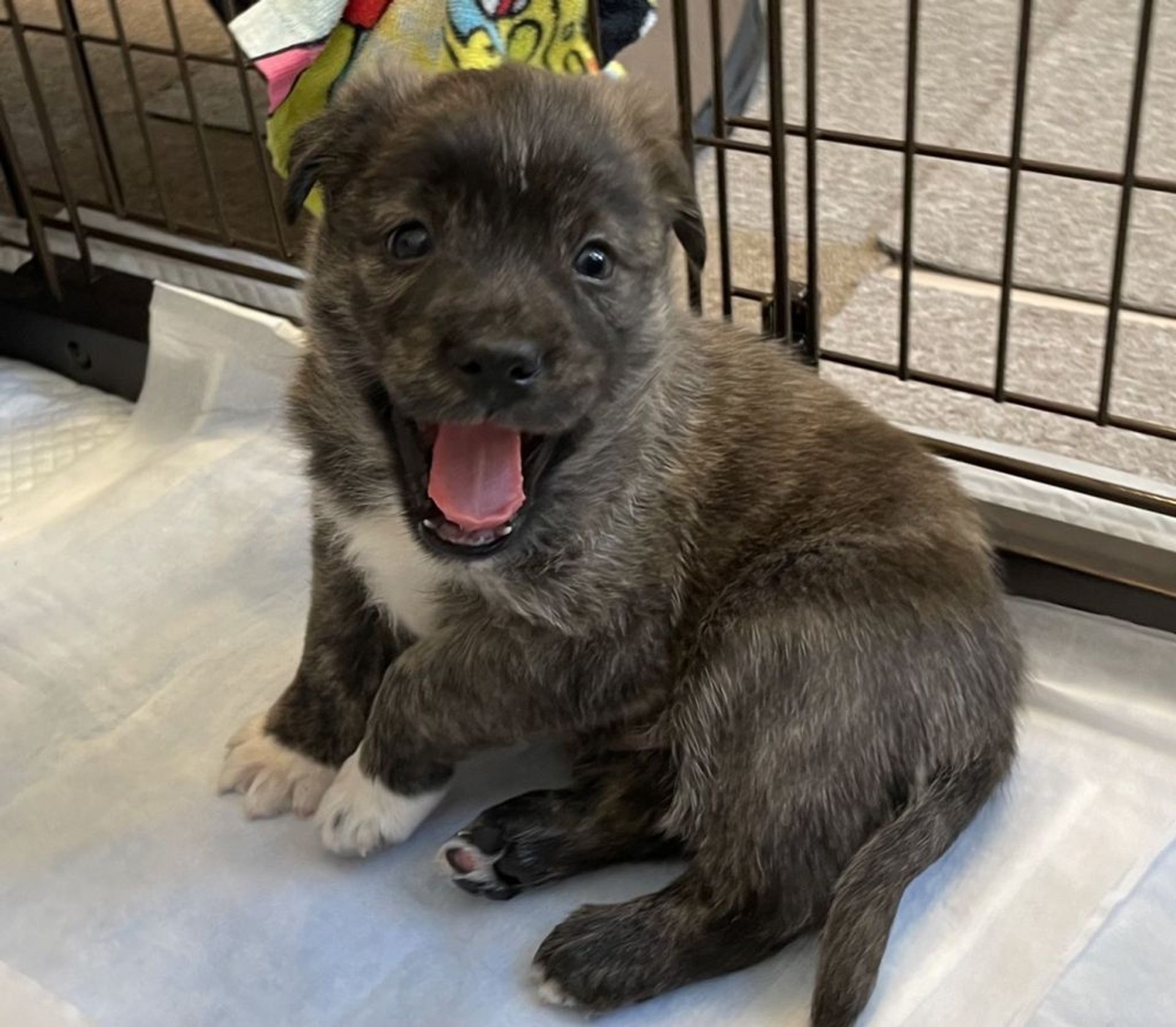 thumbnail-7