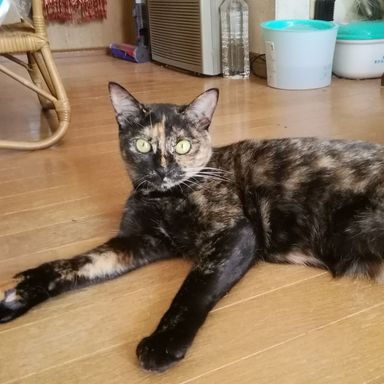 名無しちゃんの写真