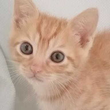 名無しちゃんの写真