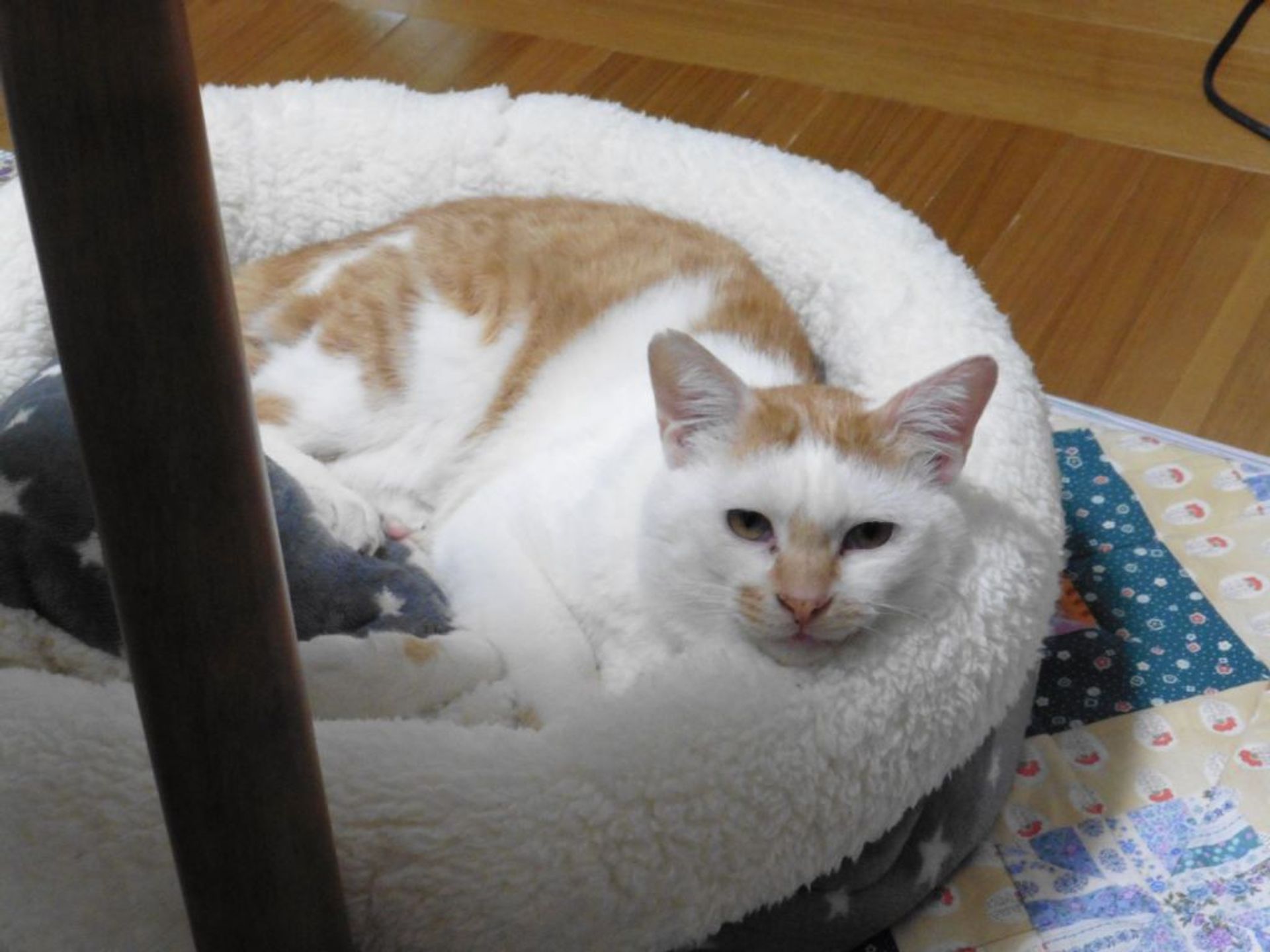 thumbnail-5