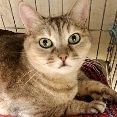 名無しちゃんの写真