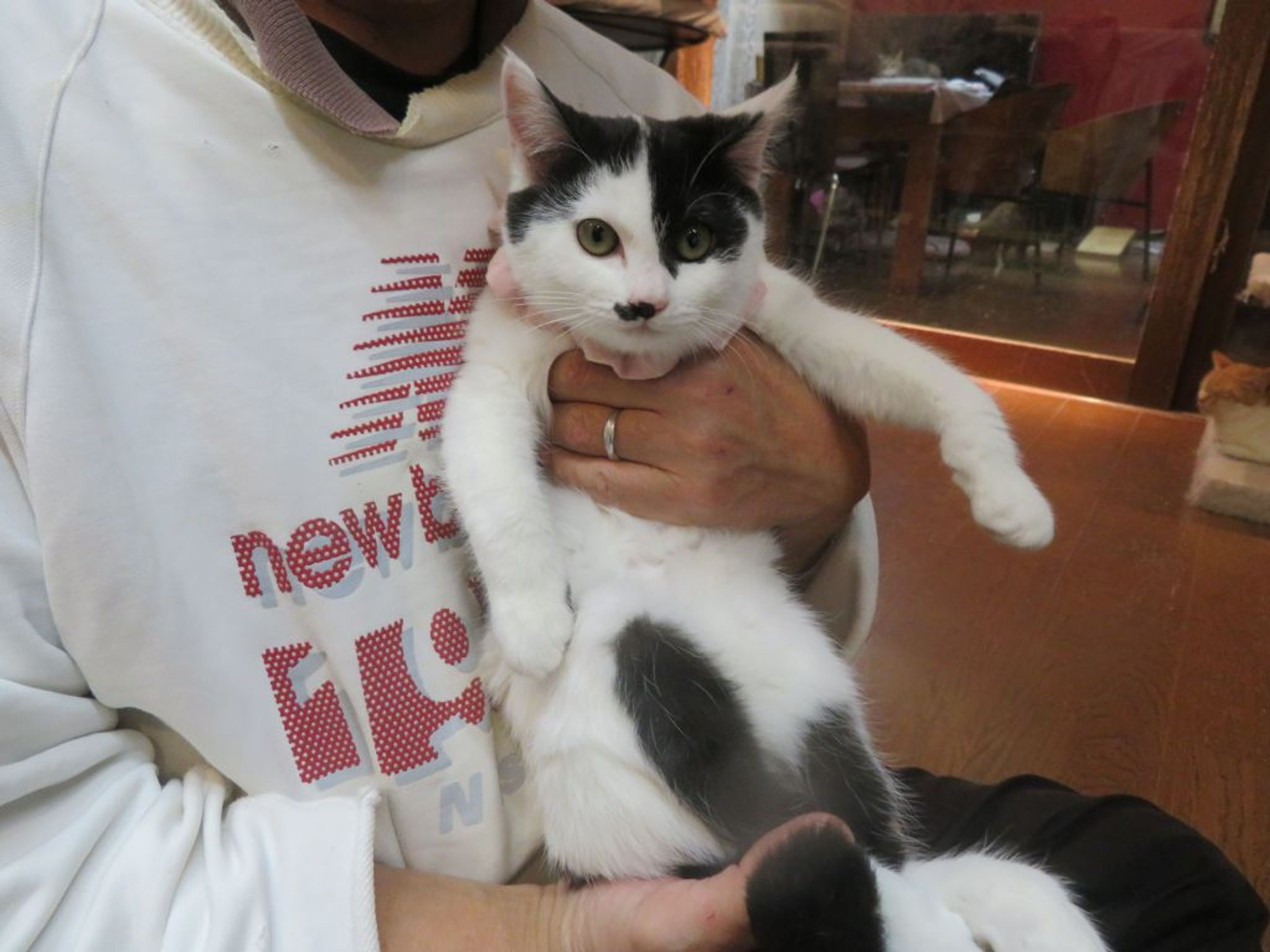 pet-image-4