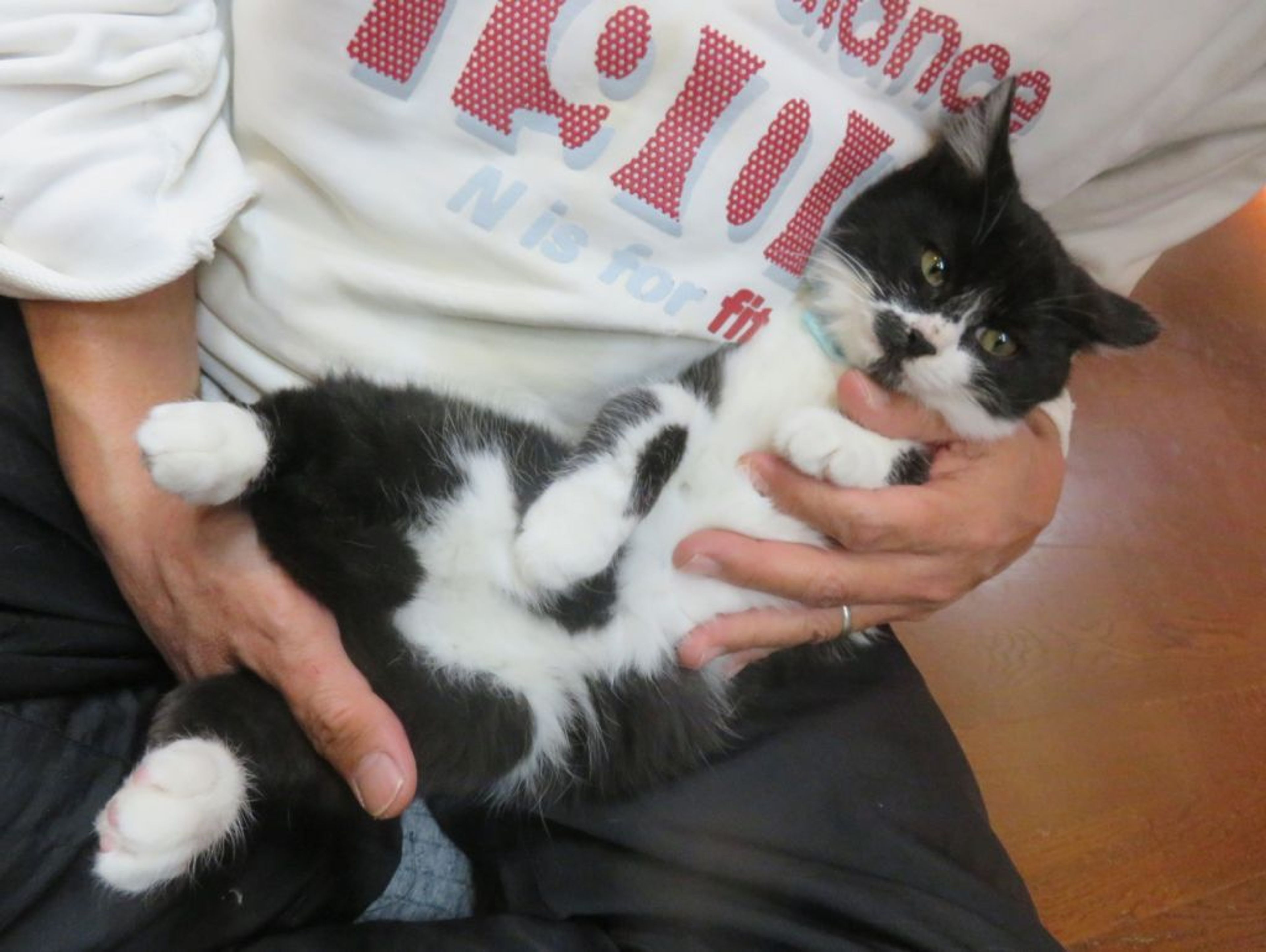 pet-image-5
