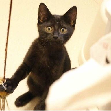 名無しちゃんの写真